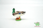 Preview: Schleich Erpel 13654